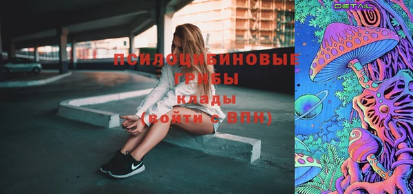 дмт Алексин