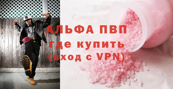 стафф Арсеньев