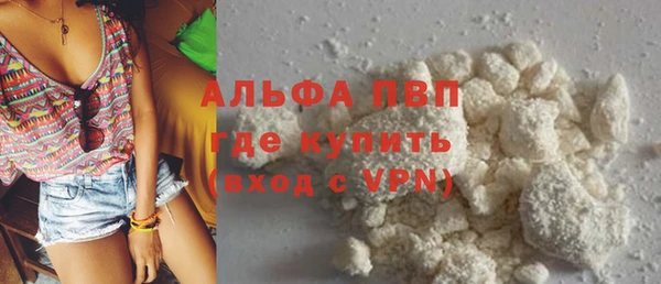 стафф Арсеньев