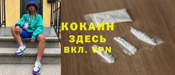 стафф Арсеньев