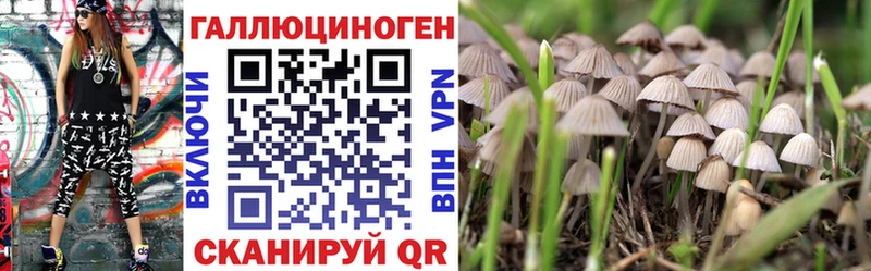 Галлюциногенные грибы Psilocybe  kraken зеркало  сайты даркнета Telegram  Ликино-Дулёво 